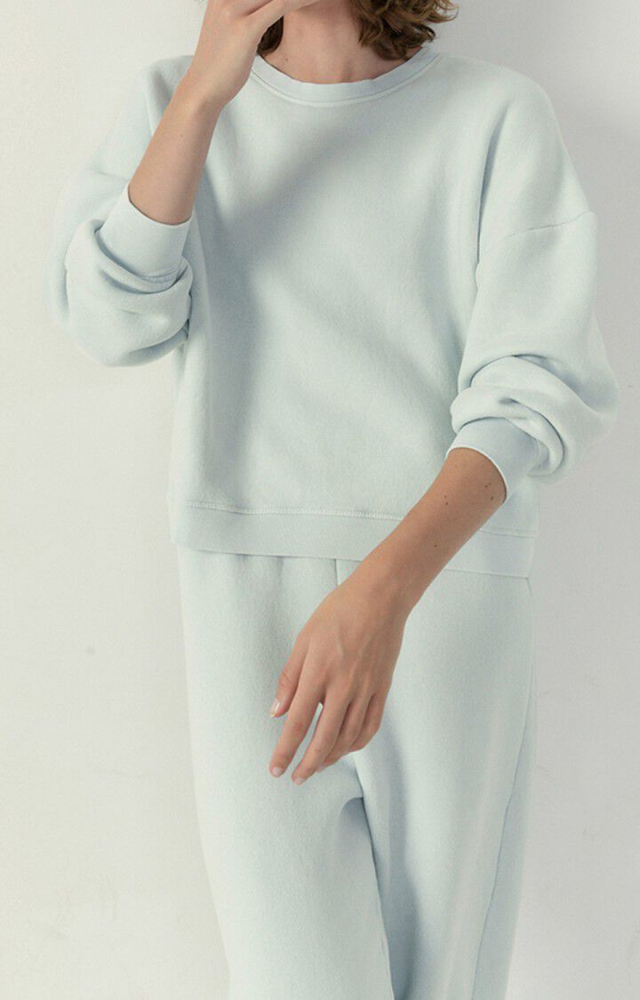 Women's sweatshirt Ikatown, VINTAGE ICEBERG, hi-res-model