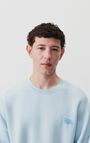Men's sweatshirt Izubird, VINTAGE SKY, hi-res-model