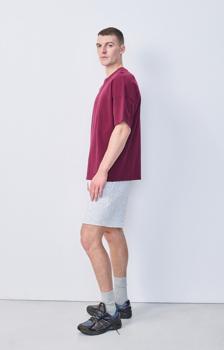 Men's t-shirt Fizvalley, VINTAGE BURGUNDY, hi-res-model