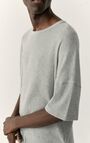 T-shirt homme Pumbo, GRIS CHINE, hi-res-model