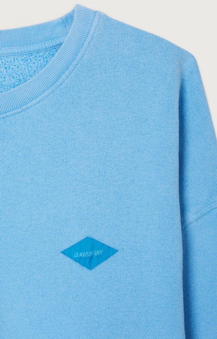 Men's sweatshirt Izubird, VINTAGE WATERFALL, hi-res