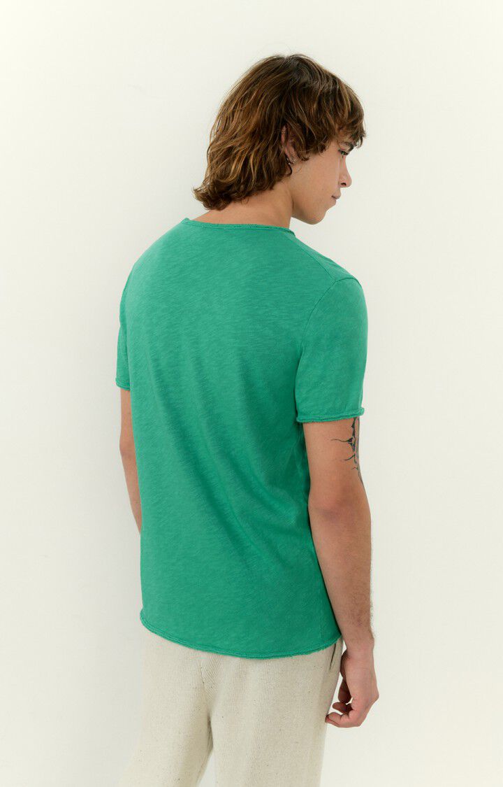 Men's t-shirt Sonoma, BASIL VINTAGE, hi-res-model
