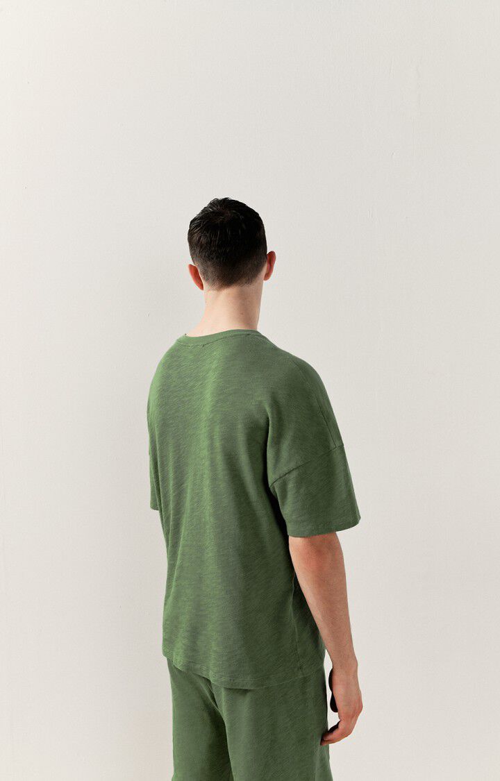 Heren t-shirt Sonoma, BOA VINTAGE, hi-res-model