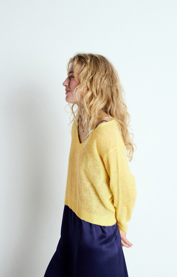 Women's jumper Dumy, SHELL MOTTLED, hi-res-model