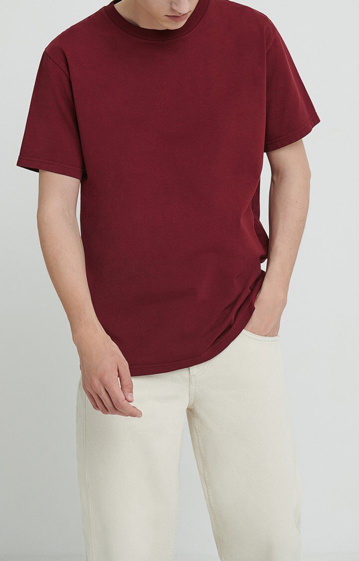 Men's t-shirt Fizvalley, VINTAGE MUSCAT, hi-res-model