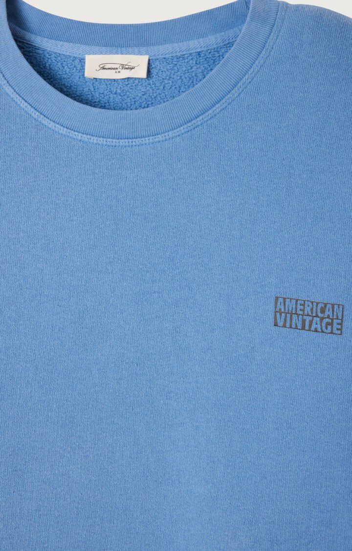 Men's sweatshirt Izubird, VINTAGE BALTIC, hi-res