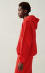 Men's hoodie Izubird, VINTAGE FLAMENCO, hi-res-model