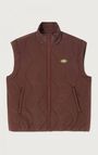 Women's padded jacket Ifabay, BEAR, hi-res