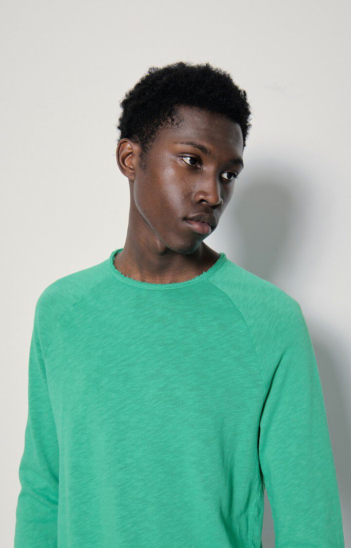 T-shirt homme Sonoma, BASILIC VINTAGE, hi-res-model