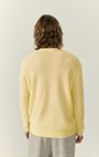 Pull homme Razpark, COQUILLE CHINE, hi-res-model