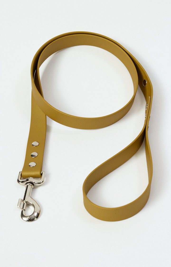 Dog leash La Mutt x AMV