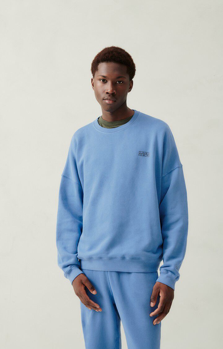 Men's sweatshirt Izubird, VINTAGE BALTIC, hi-res-model