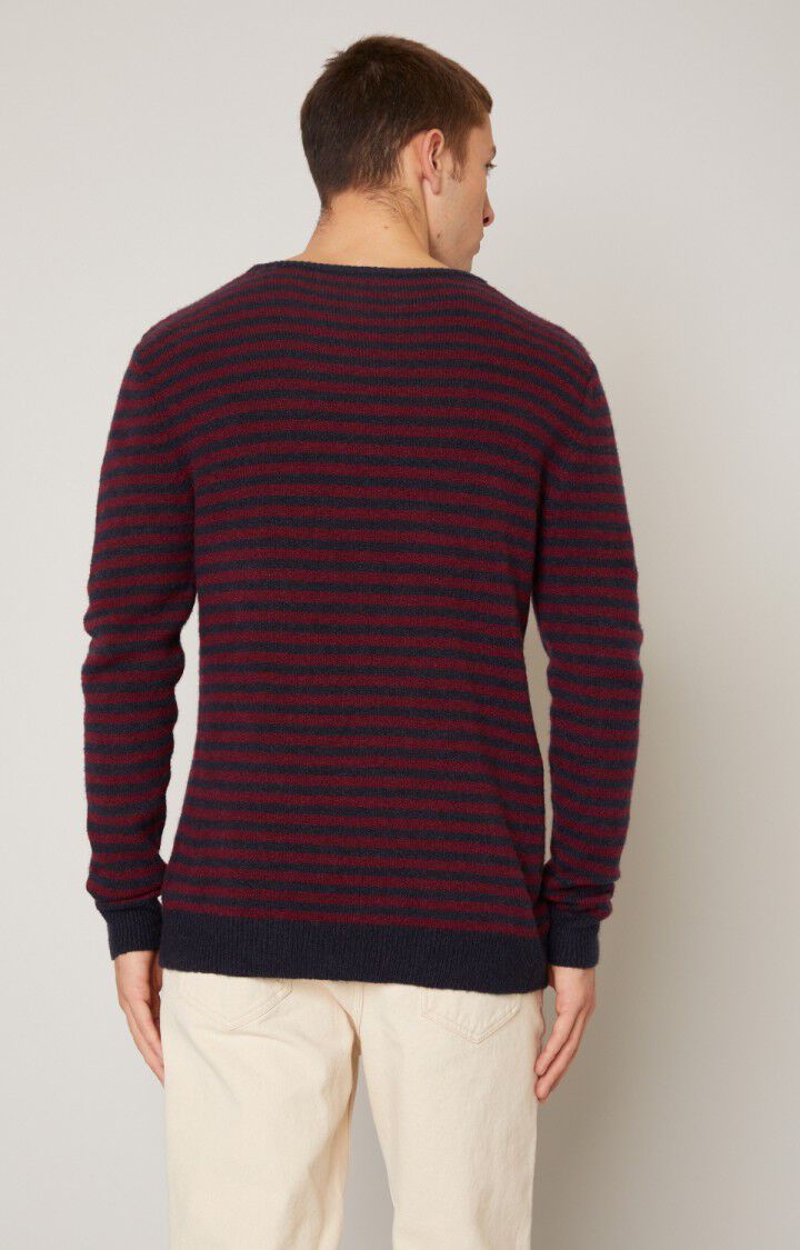 Pull homme Ulicity