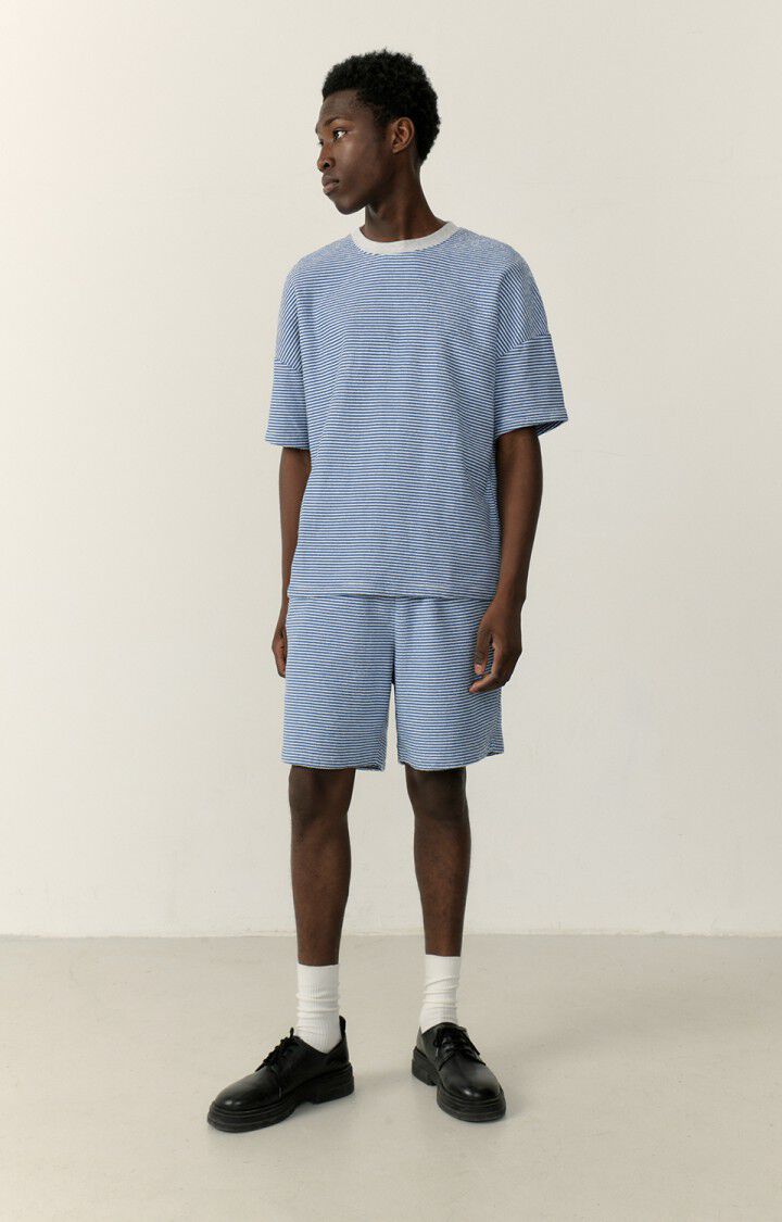 Men's shorts Bobypark, BLUE AND GRAY STRIPES, hi-res-model