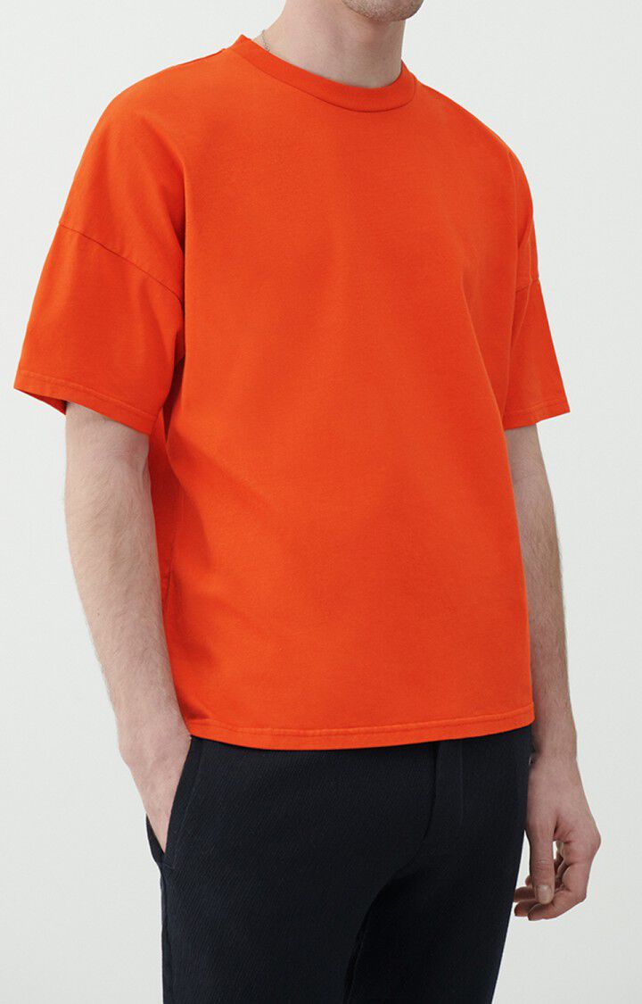 Camiseta hombre Fizvalley, TEJA VINTAGE, hi-res-model