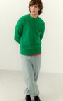 Men's jumper Razpark, MOTTLED CORIANDER, hi-res-model
