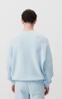 Men's sweatshirt Izubird, VINTAGE SKY, hi-res-model
