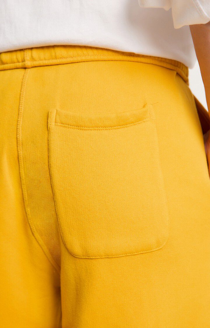 Men's joggers Izubird, VINTAGE MUSTARD, hi-res-model