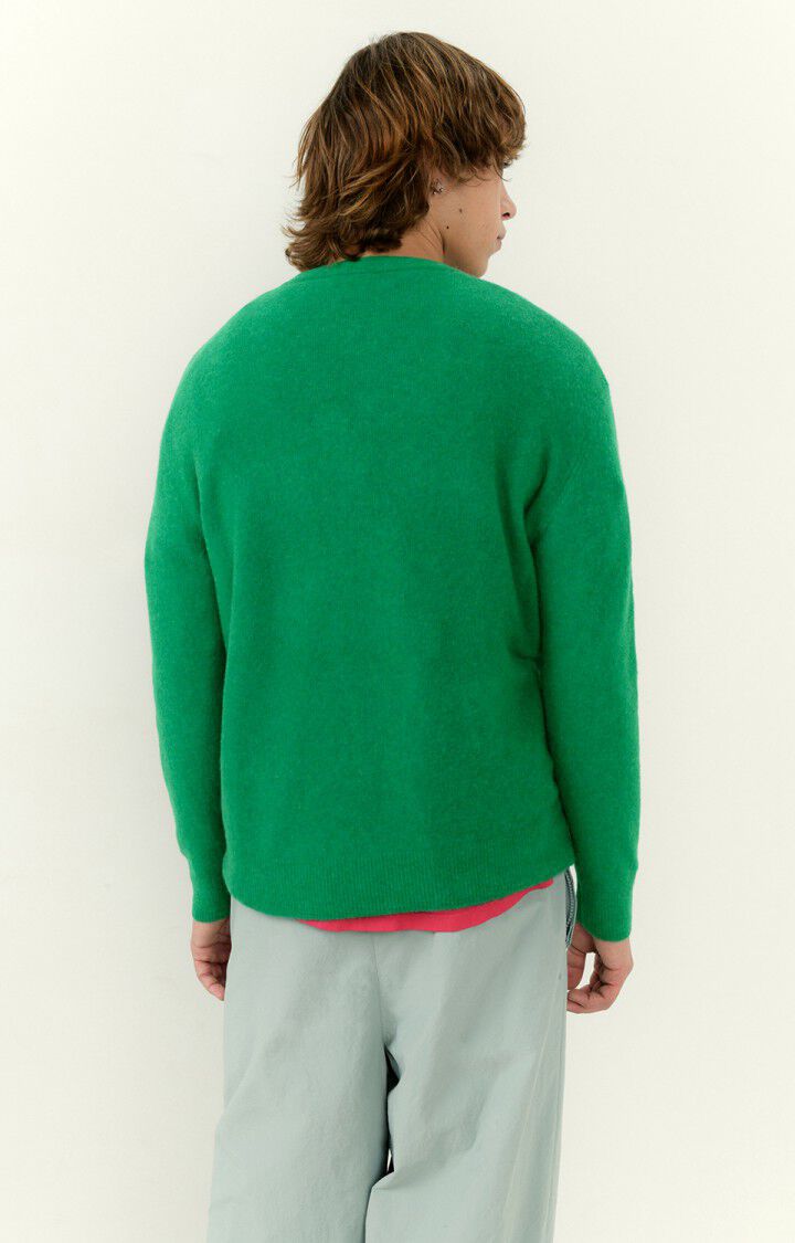Men's jumper Razpark, MOTTLED CORIANDER, hi-res-model