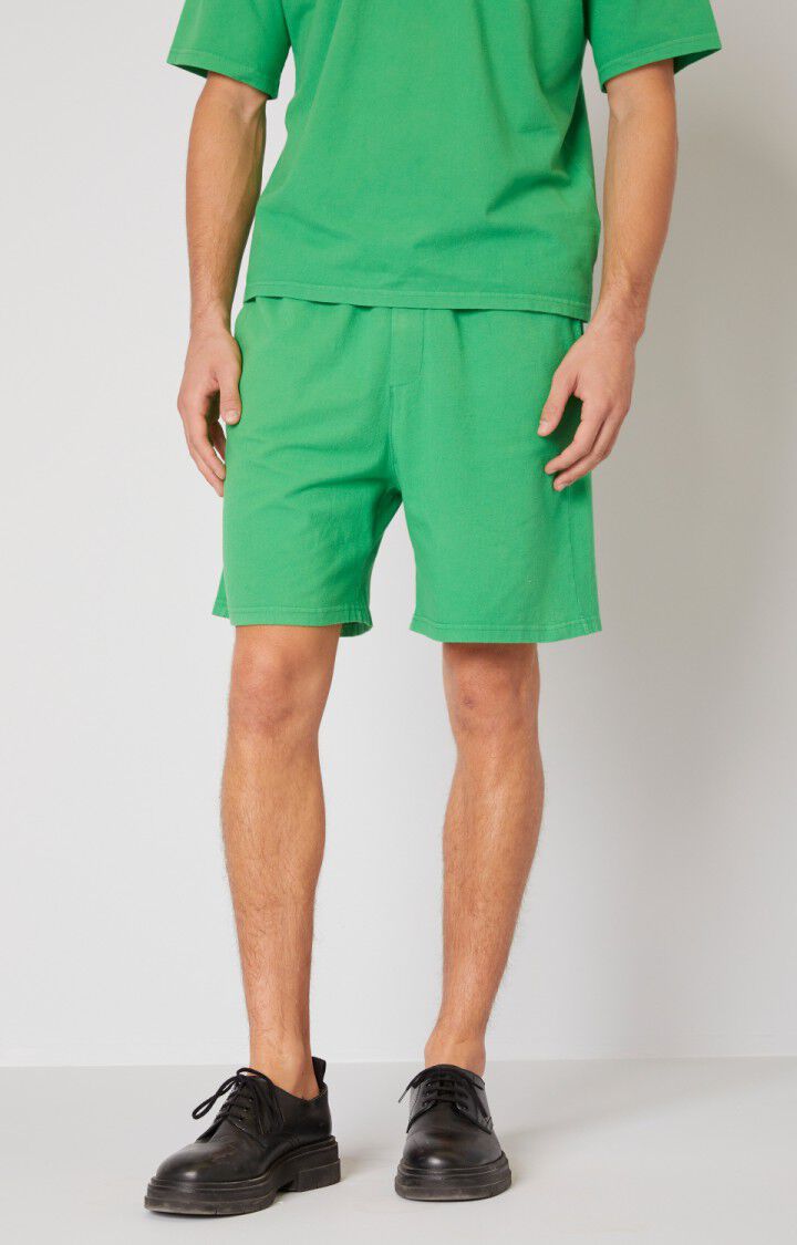 Men's shorts Pyowood, VINTAGE GRASS, hi-res-model