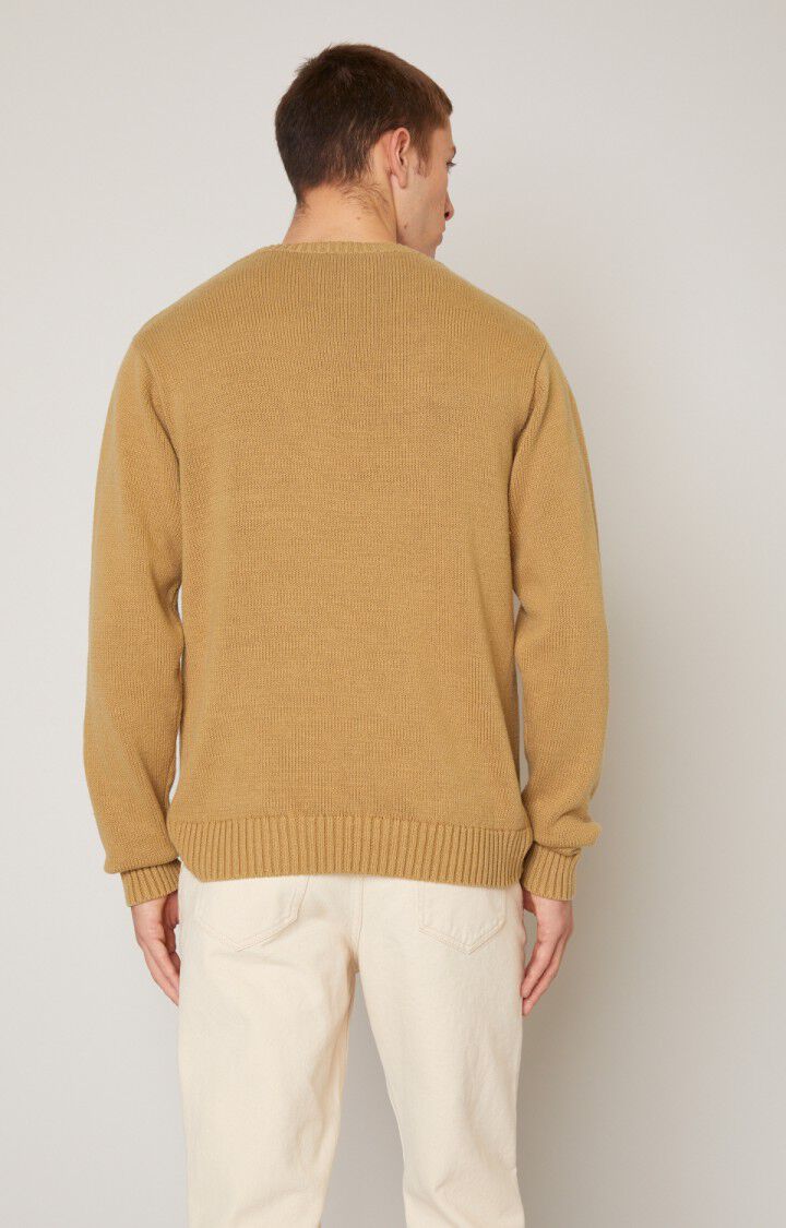 Pull homme Nelow