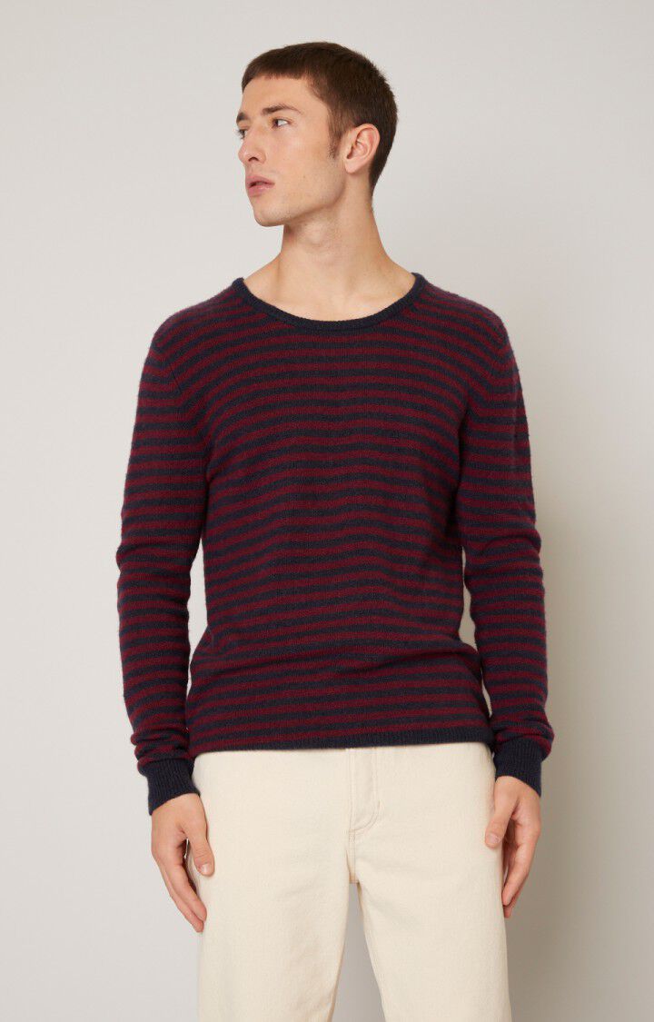 Pull homme Ulicity