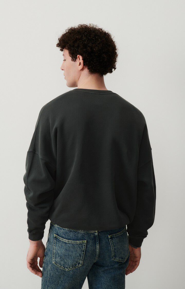 Herensweater Izubird, KOOLSTOF VINTAGE, hi-res-model