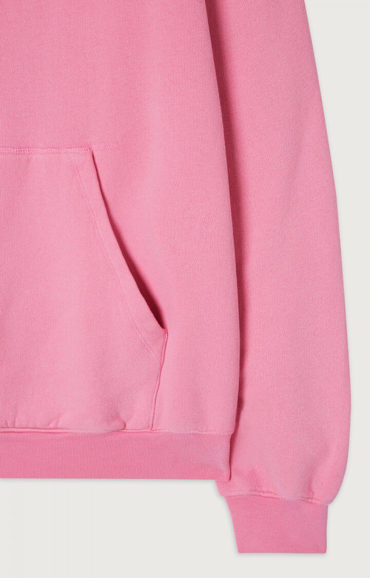 Men's hoodie Izubird, VINTAGE SWEETS, hi-res