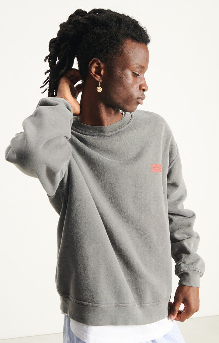 Men's sweatshirt Plizzy - VINTAGE ASH 60 Long sleeve Grey - E26