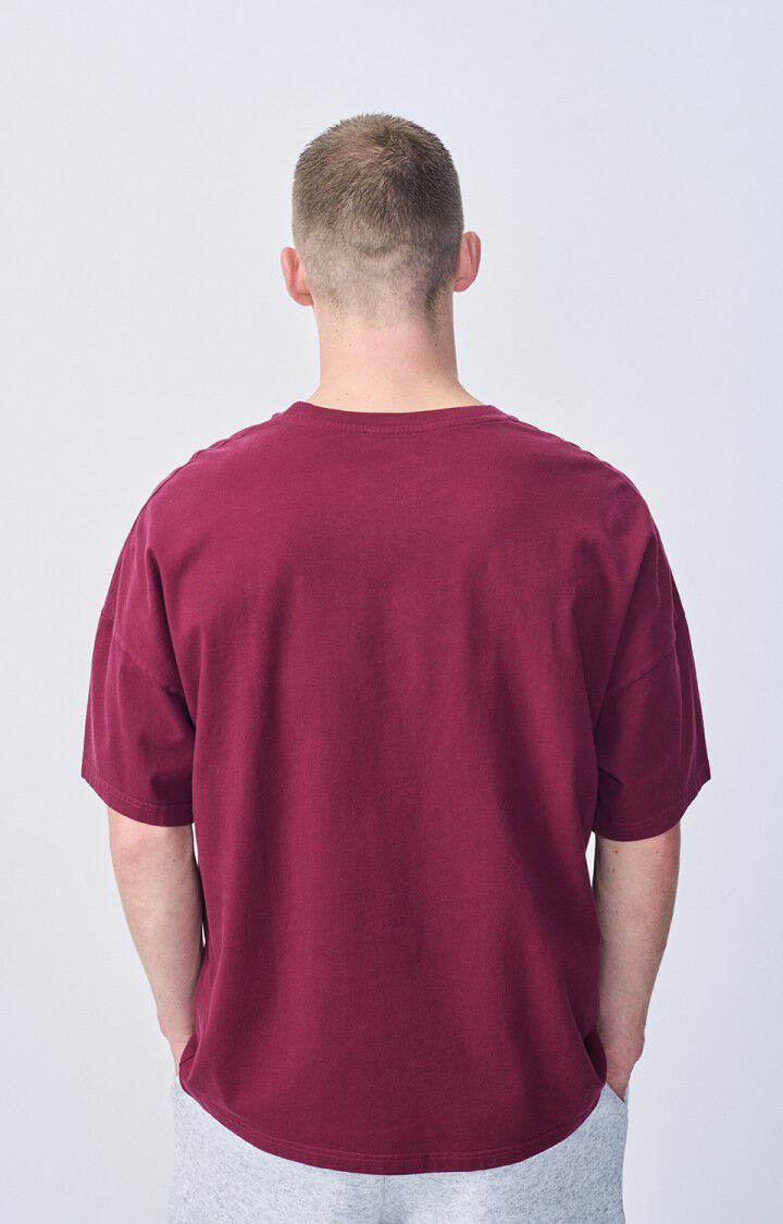 Men's t-shirt Fizvalley, VINTAGE BURGUNDY, hi-res-model