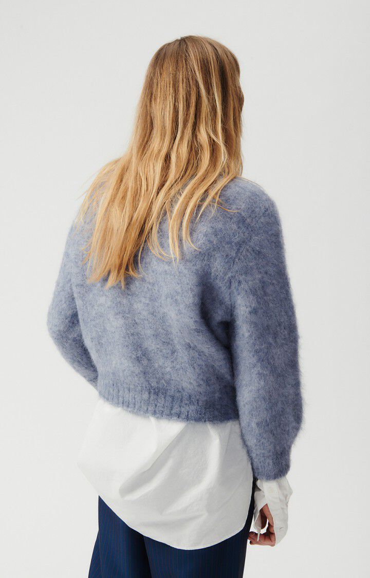 Women's jumper Foubay, MOTTLED HORIZON, hi-res-model