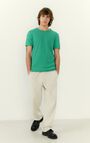 Men's t-shirt Sonoma, BASIL VINTAGE, hi-res-model