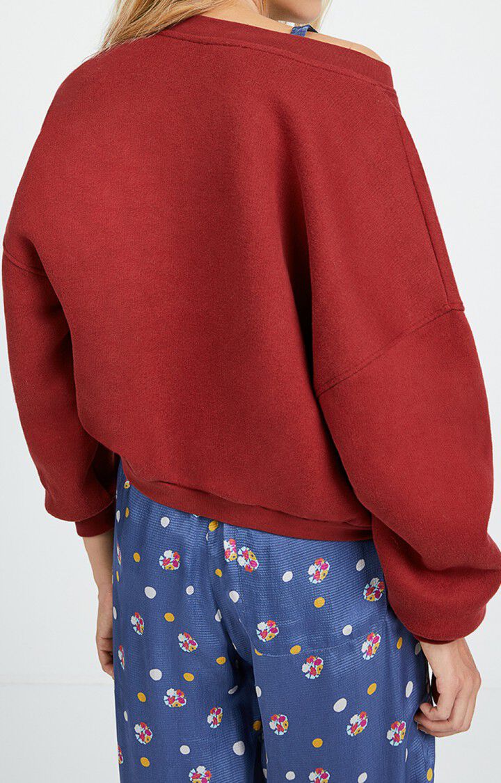 Damessweater Ikatown, BAAI, hi-res-model