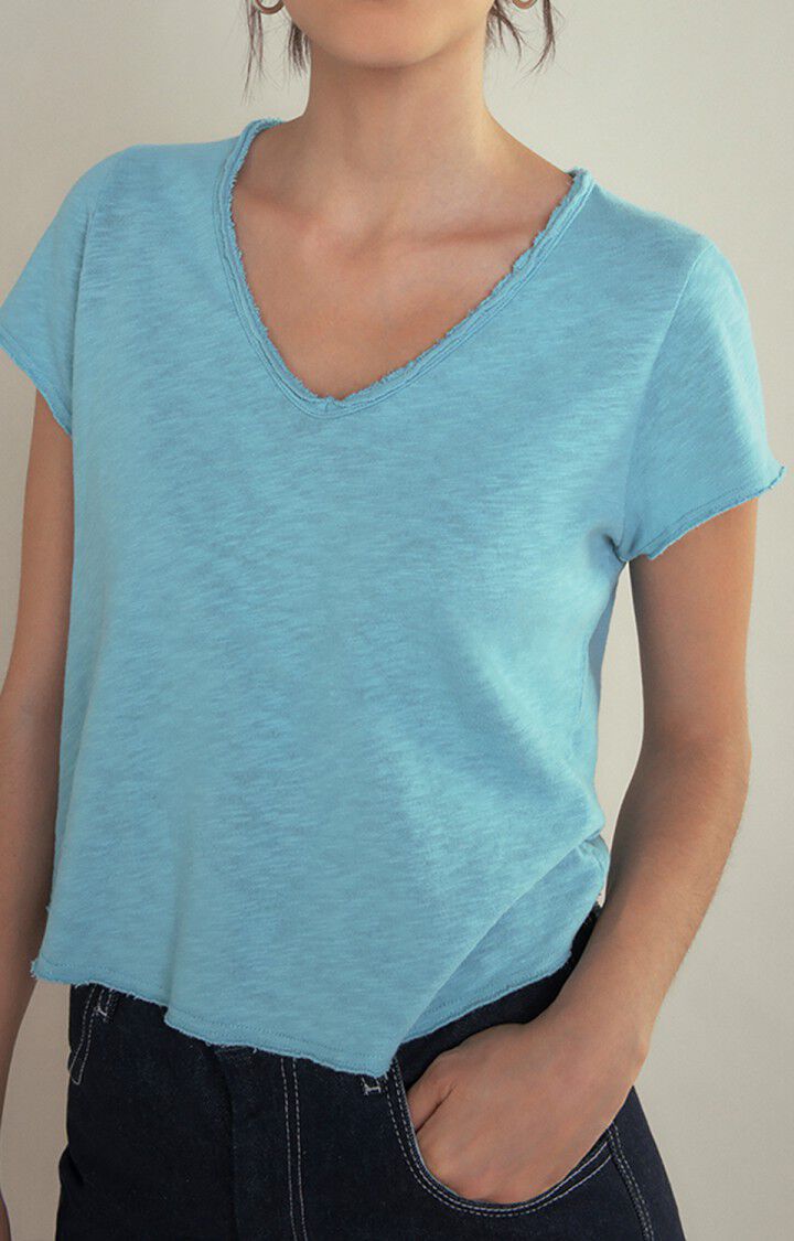 Women's t-shirt Sonoma, VINTAGE DOLPHIN, hi-res-model