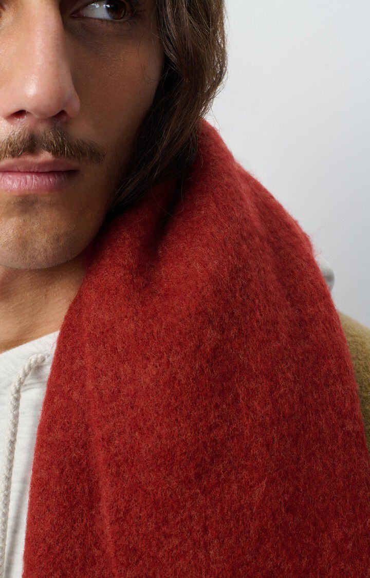 &Eacute;charpe Zinaco, LIE DE VIN, hi-res-model