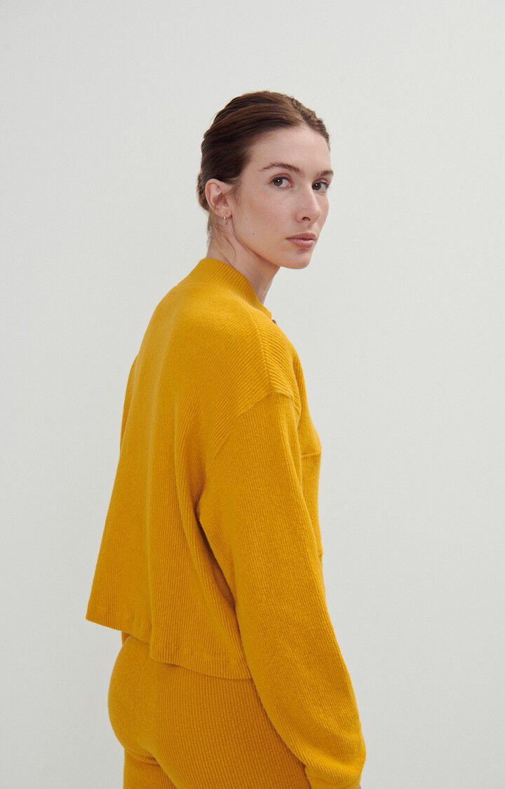 Women's sweatshirt Pyboo, MUSTARD, hi-res-model