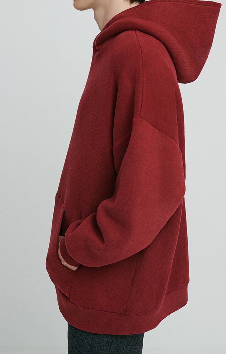 Herensweater Ikatown, MUSKAATNOOT, hi-res-model