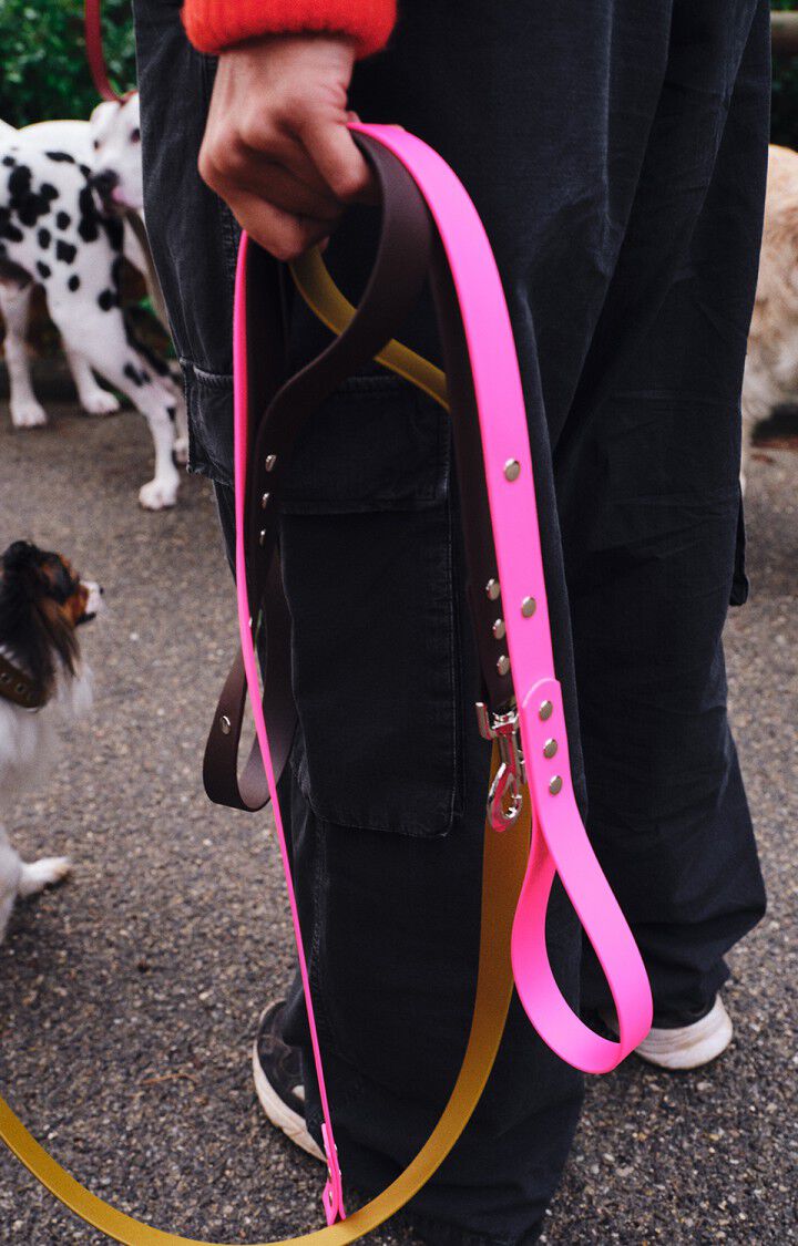AMV DOGS dog leash - BROWN - Brown - TU