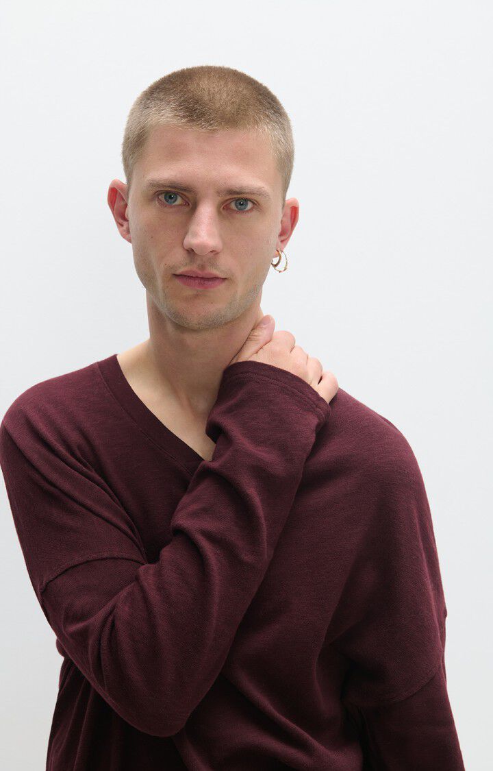 Herren-T-Shirt Sonoma, TRAUBE VINTAGE, hi-res-model