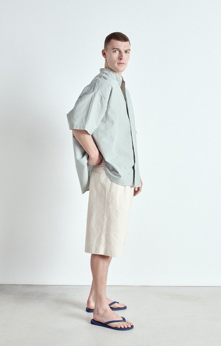 Men's shirt Obyg, LICHEN STRIPPES, hi-res-model