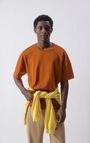 Men's t-shirt Fizvalley, VINTAGE TERRACOTTA, hi-res-model