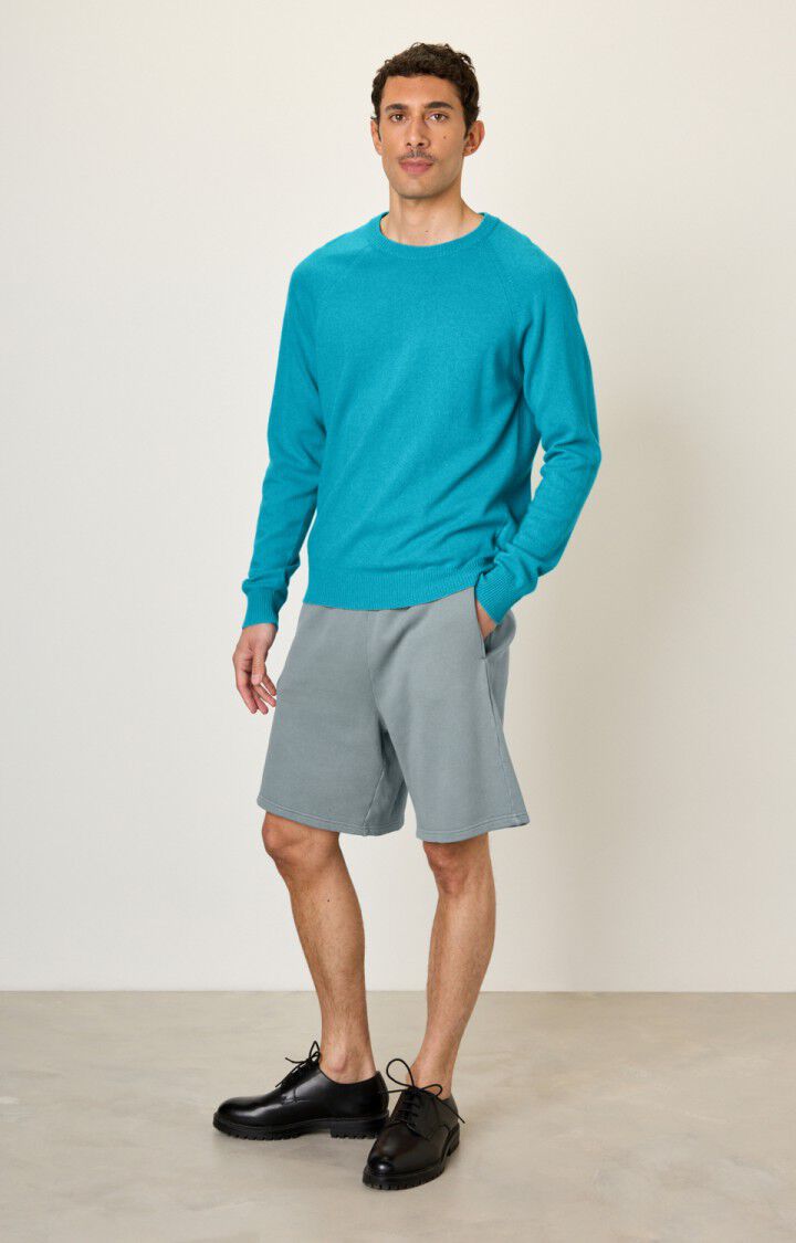 Men's jumper Voxybay