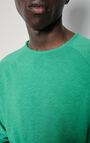T-shirt homme Sonoma, BASILIC VINTAGE, hi-res-model