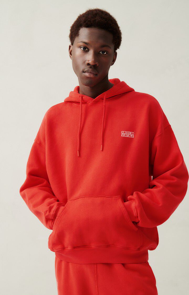 Men's hoodie Izubird, VINTAGE FLAMENCO, hi-res-model