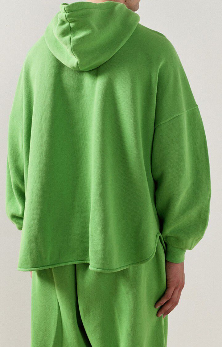 Men's sweatshirt Uticity, VINTAGE PASTURE, hi-res-model