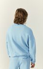 Herensweater Ikatown, IJSPAKKET VINTAGE, hi-res-model