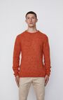 Pull homme Wixtonchurch, ROUILLE CHINE, hi-res-model